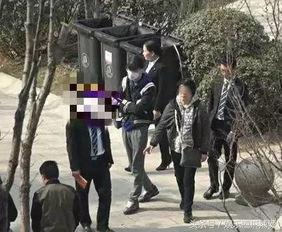 哥哥爆料王宝强视频播放,哥哥爆料背后的真相  第3张